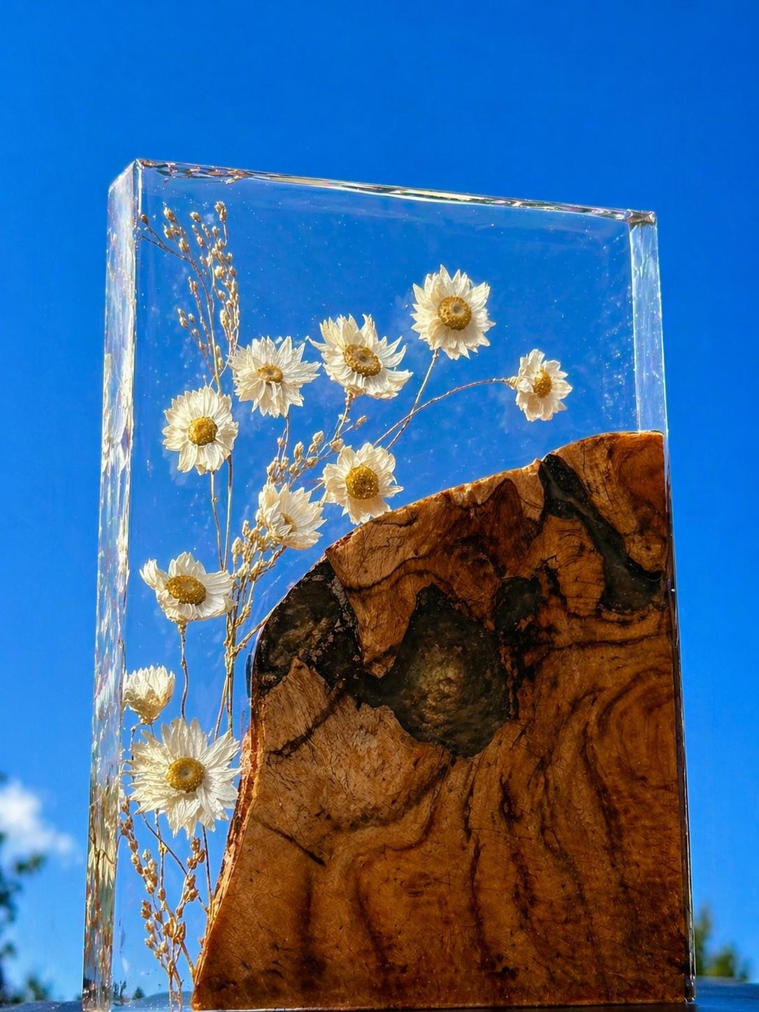 Harssculptuur van Madeliefje en Hout -Daisy Bloom