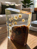 Harssculptuur van Madeliefje en Hout -Daisy Bloom