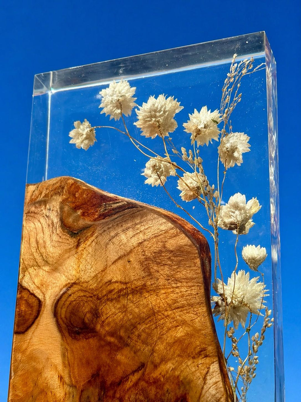 Harssculptuur van Madeliefje en Hout -Daisy Bloom