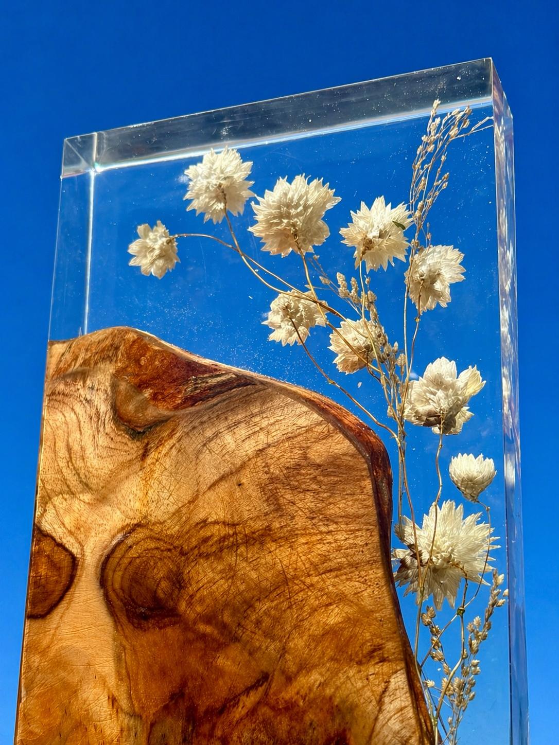 Harssculptuur van Madeliefje en Hout -Daisy Bloom